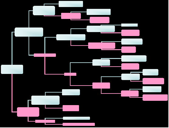 Organigramme hirarchique